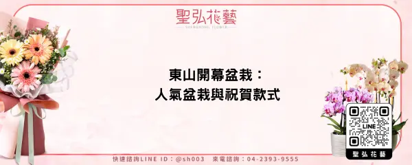 東山開幕盆栽：人氣盆栽與祝賀款式