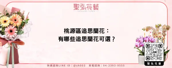 桃源區追思蘭花：有哪些追思蘭花可選？
