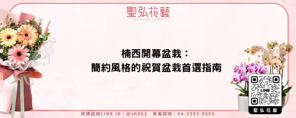 楠西開幕盆栽：簡約風格的祝賀盆栽首選指南