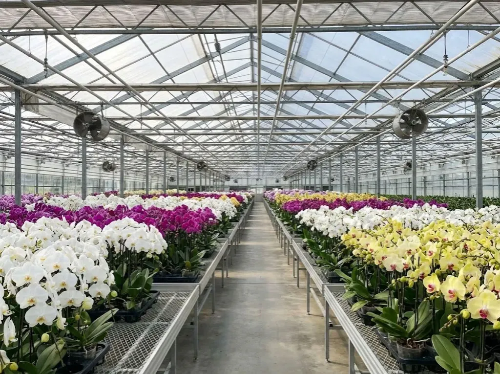 聖弘花藝蘭園照-5