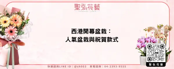 西港開幕盆栽：人氣盆栽與祝賀款式