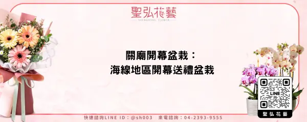 關廟開幕盆栽：海線地區開幕送禮盆栽