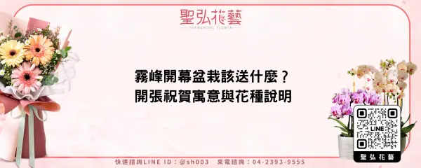 霧峰開幕盆栽該送什麼？開張祝賀寓意與花種說明