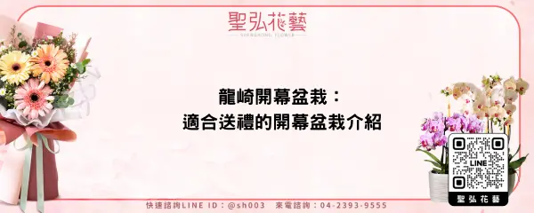 龍崎開幕盆栽：適合送禮的開幕盆栽介紹