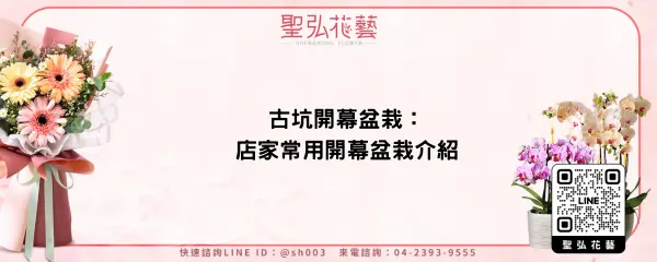 古坑開幕盆栽：店家常用開幕盆栽介紹