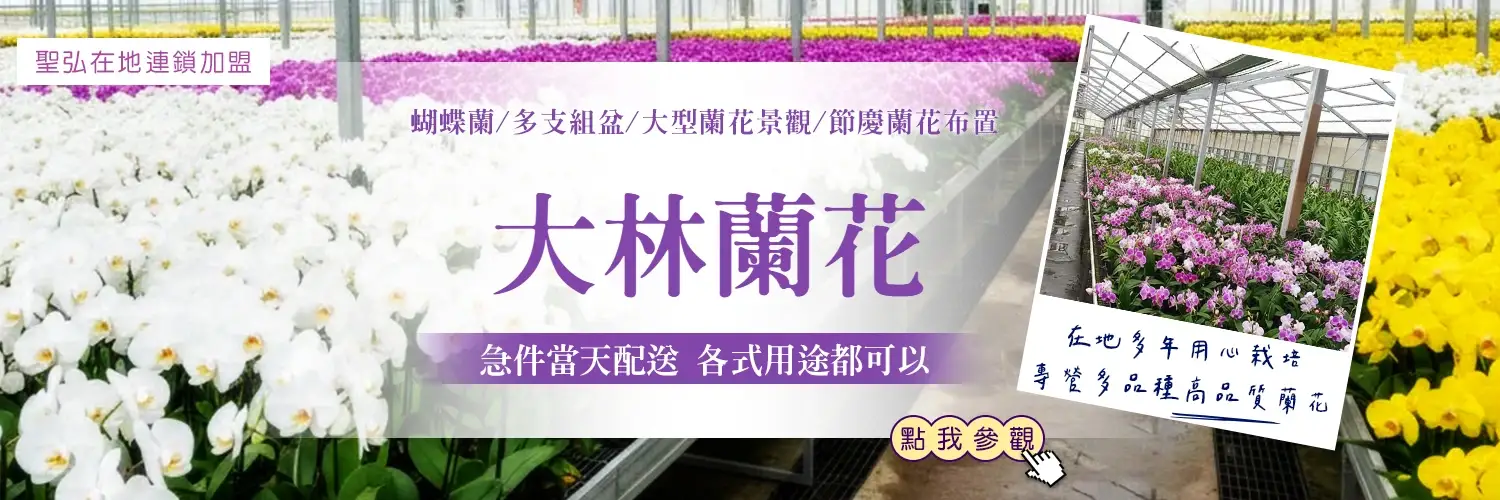大林蘭花