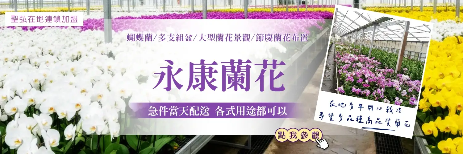 永康蘭花