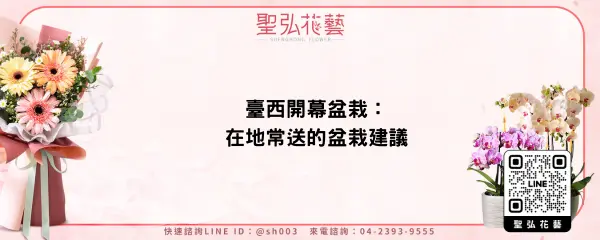 臺西開幕盆栽：在地常送的盆栽建議