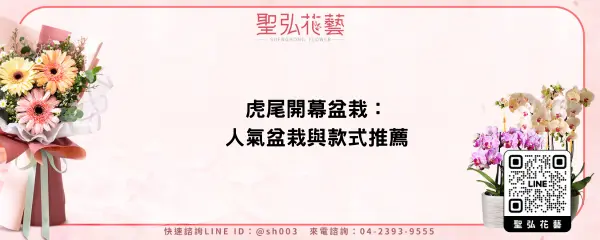 虎尾開幕盆栽：人氣盆栽與款式推薦