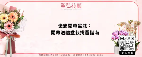 褒忠開幕盆栽：開幕送禮盆栽挑選指南