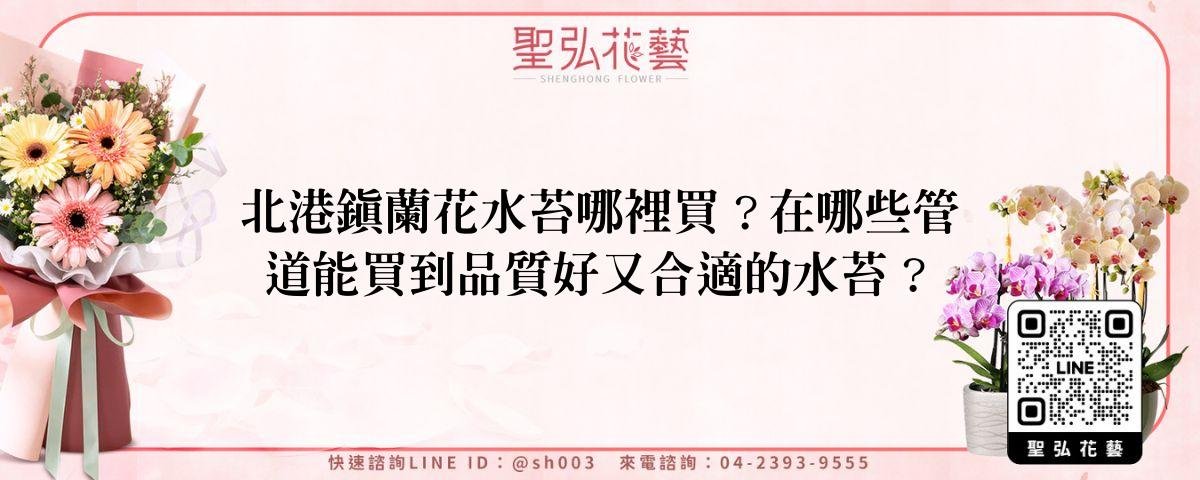 feature-7068a226-7e7b-4282-903e-e937cef23572