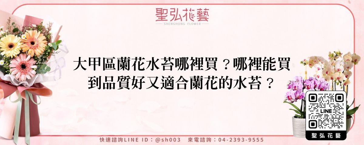 feature-706c9a87-1e83-4554-9de9-e0f26f5b9b8b