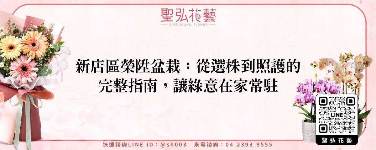 feature-8b806ea1-db47-4b97-b8fb-49017b06c22a