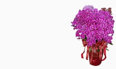 春節花禮商品分類圖