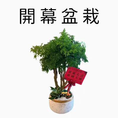 開幕盆栽商品分類圖_m