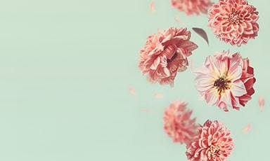 flowers banner medium bottom.jpg flowers banner medium bottom.jpg