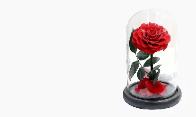 客製花禮 1.webp 客製花禮 1.webp